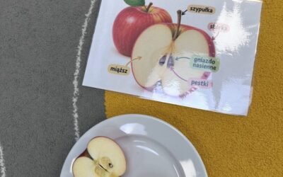 Dzień jabłka